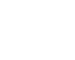 Seaweeds – Inicio